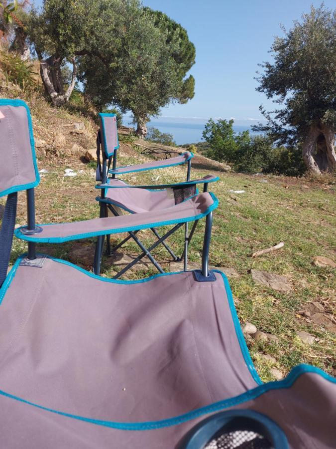 Terre Di توسا المظهر الخارجي الصورة