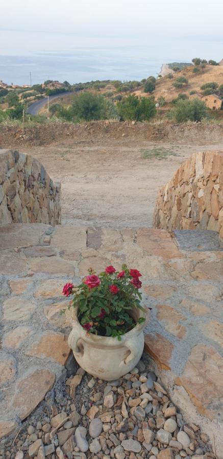 Terre Di توسا المظهر الخارجي الصورة